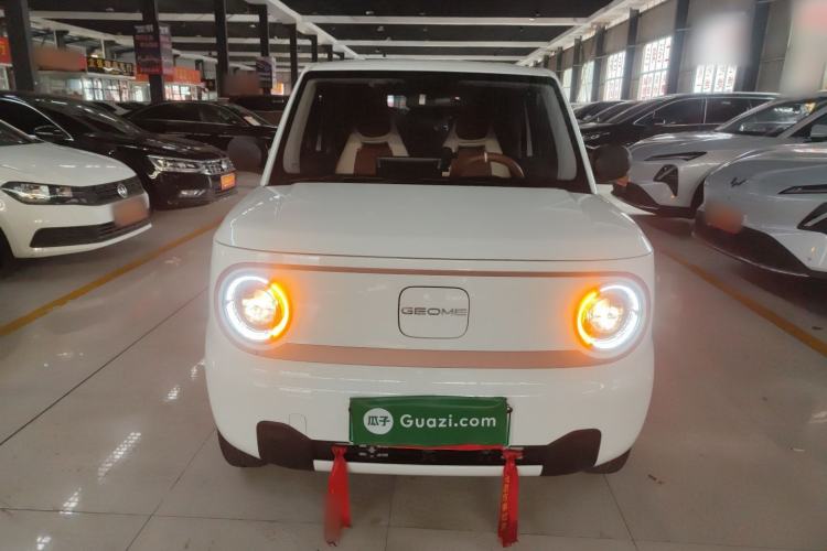 Used  Panda 2024 Panda Mini 200km Endurance Bear
