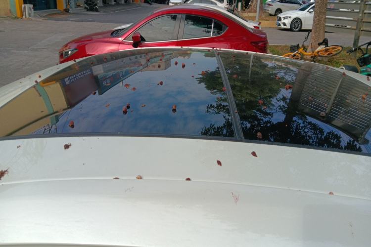 Used Honda Inspire 2019 260TURBO Elegant Edition China VI Emission Standard
