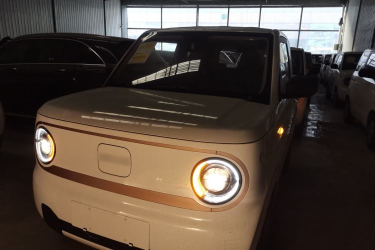 Used  Panda 2024 Panda Mini 200km Endurance Bear
