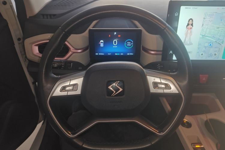 Used SOL E10X 2022 Flower Fairy Style Baby's Breath
