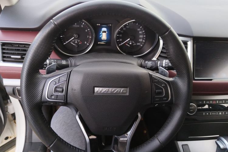 Used Haval H6 Coupe 2018 Red-Label 1.5T Automatic Two-Wheel Drive Ultra-Luxury Model
