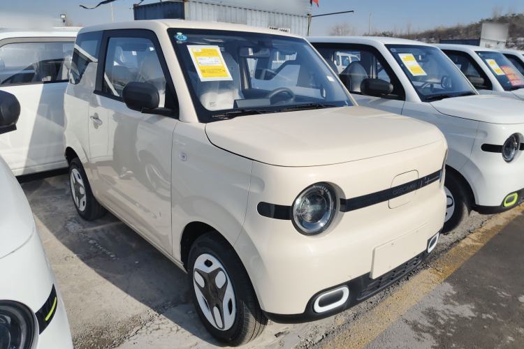 Used  Panda 2025 210 km – Yuanqi Bear
