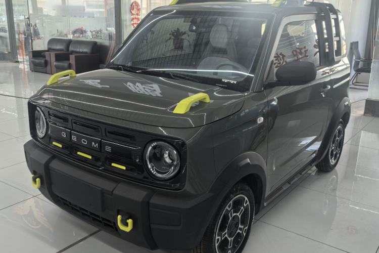 Used  Panda 2024 200km Panda Rider
