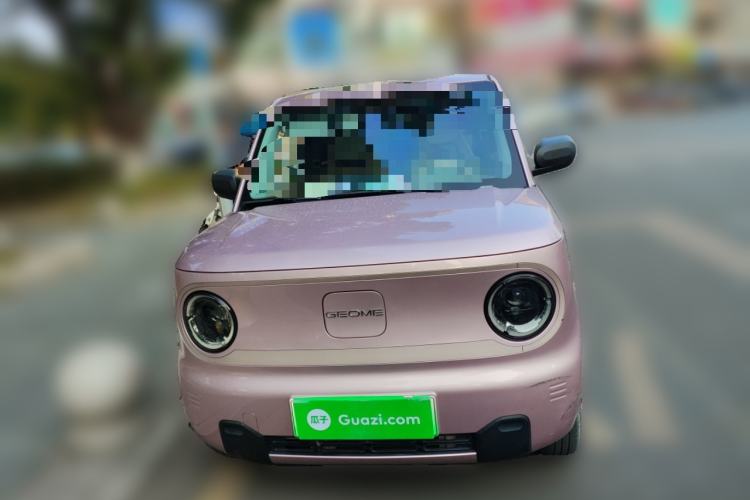 Used  Panda 2023 Panda Mini 200km Endurance Bear
