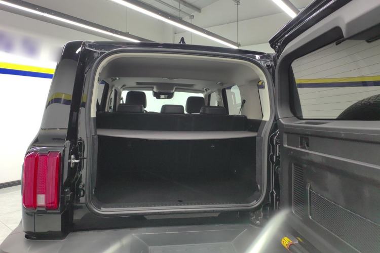 Used Tank 300 2023 City Edition 2.0T My Vision Model