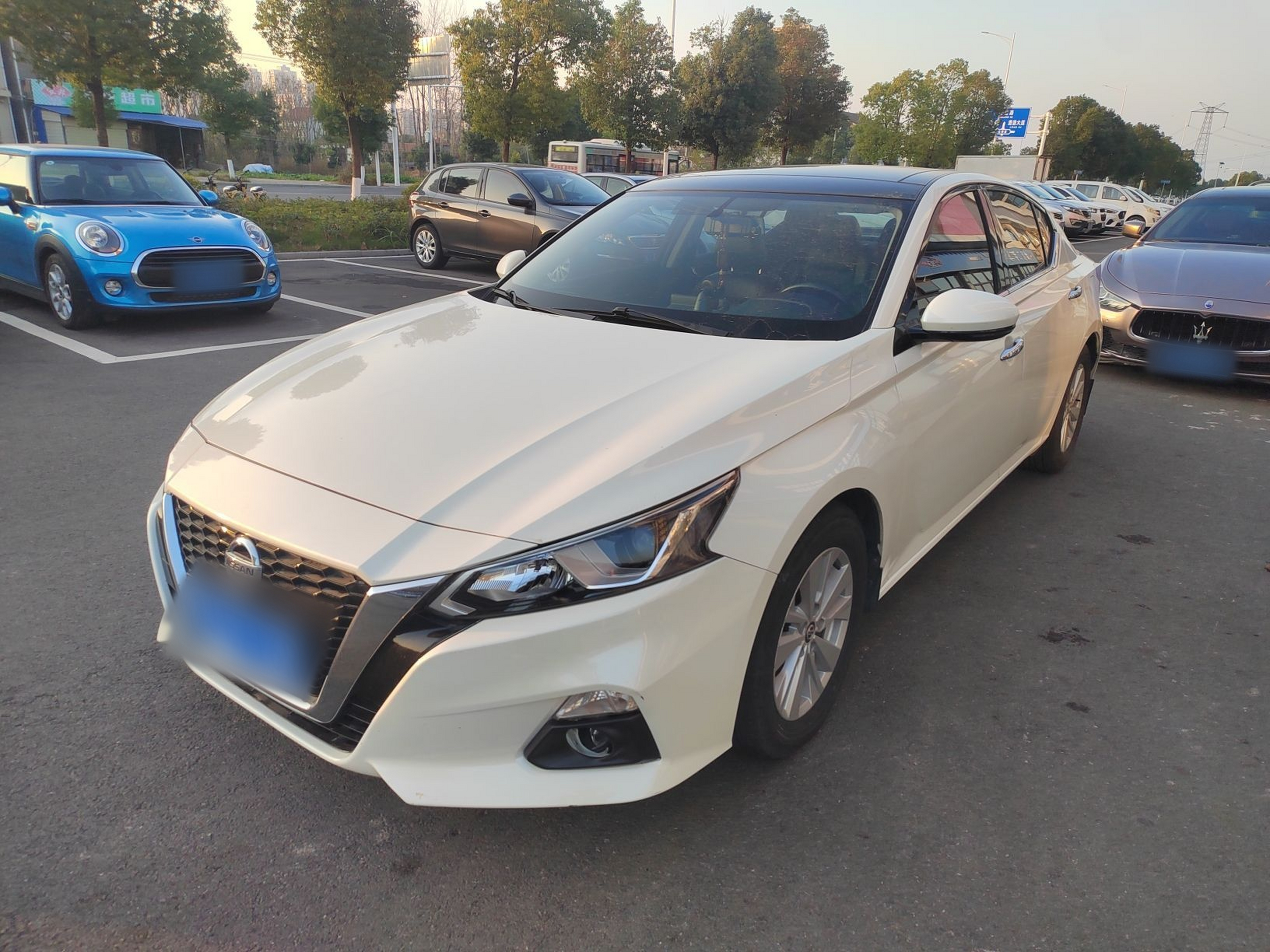 تحت مقدمة السيارة