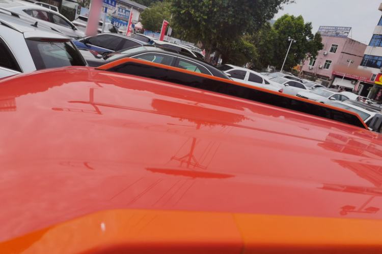 Used  Panda 2024 200km Panda Rider
