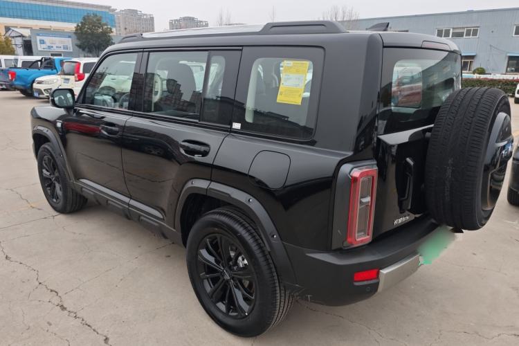 Used Haval Raptor New Energy 
