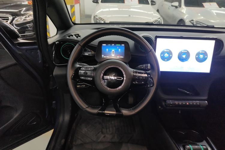 Used BYD Dolphin 2024 Honor Edition 420km Freedom Version
