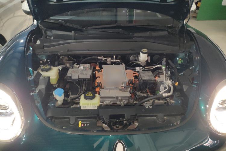 Used ORA Good Cat 2022 Morandi Edition 400km Standard Range Luxury Version Lithium Iron Phosphate
