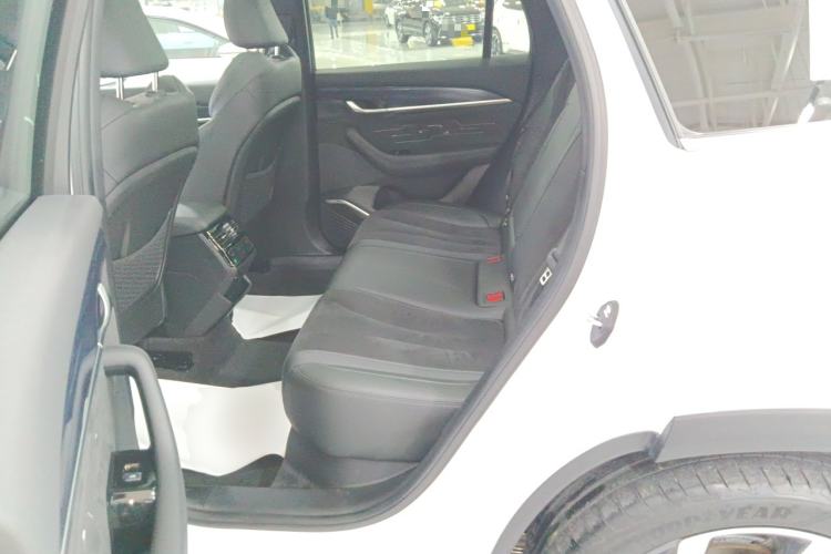 Used Geely Auto Monjaro L 2024 2.0TD High-Power Automatic Two-Wheel Drive Skyline Edition
