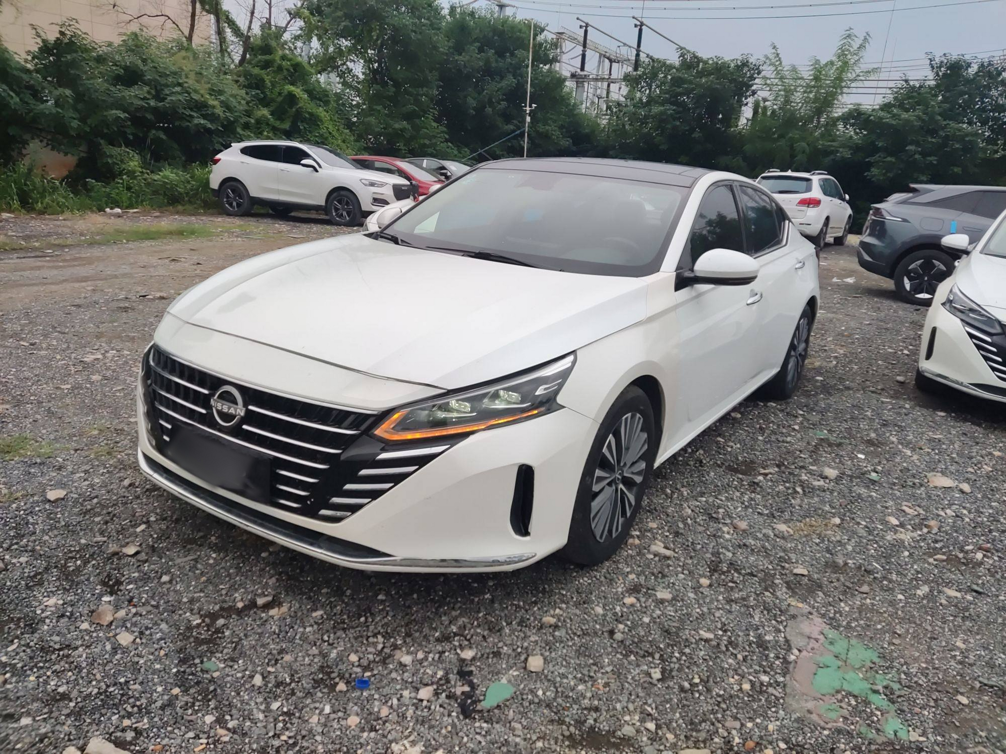 تحت مقدمة السيارة