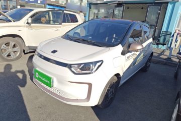 Used SOL E10X 2022 Flower Fairy Style Baby's Breath