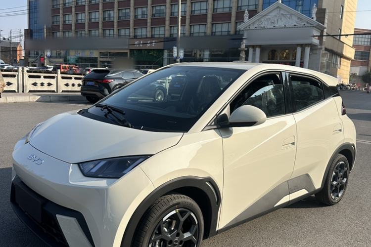 Used BYD Seagull 2025 305 km Free Version
