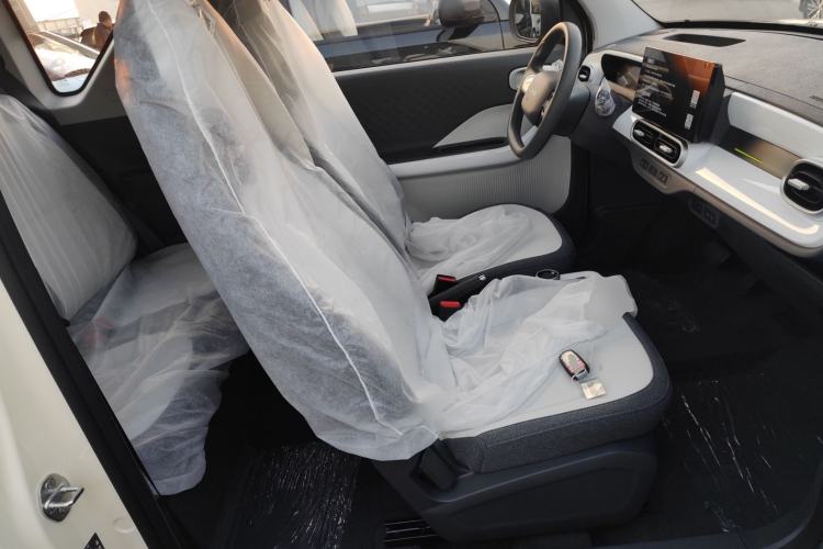 Used  Panda 2025 210 km – Yuanqi Bear
