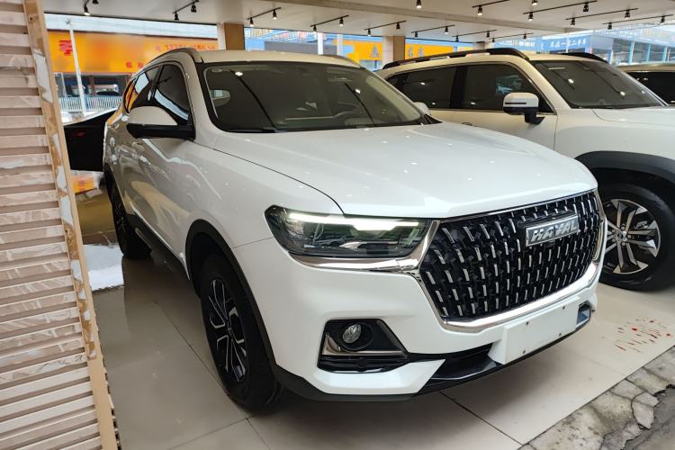 Used Haval H6 2023 National Trend Edition 1.5T Automatic Urban Version