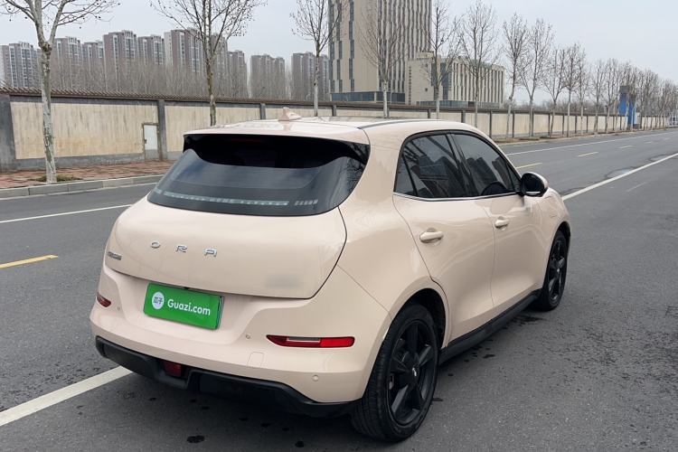 Used ORA Good Cat 2024 401 km Luxury Version