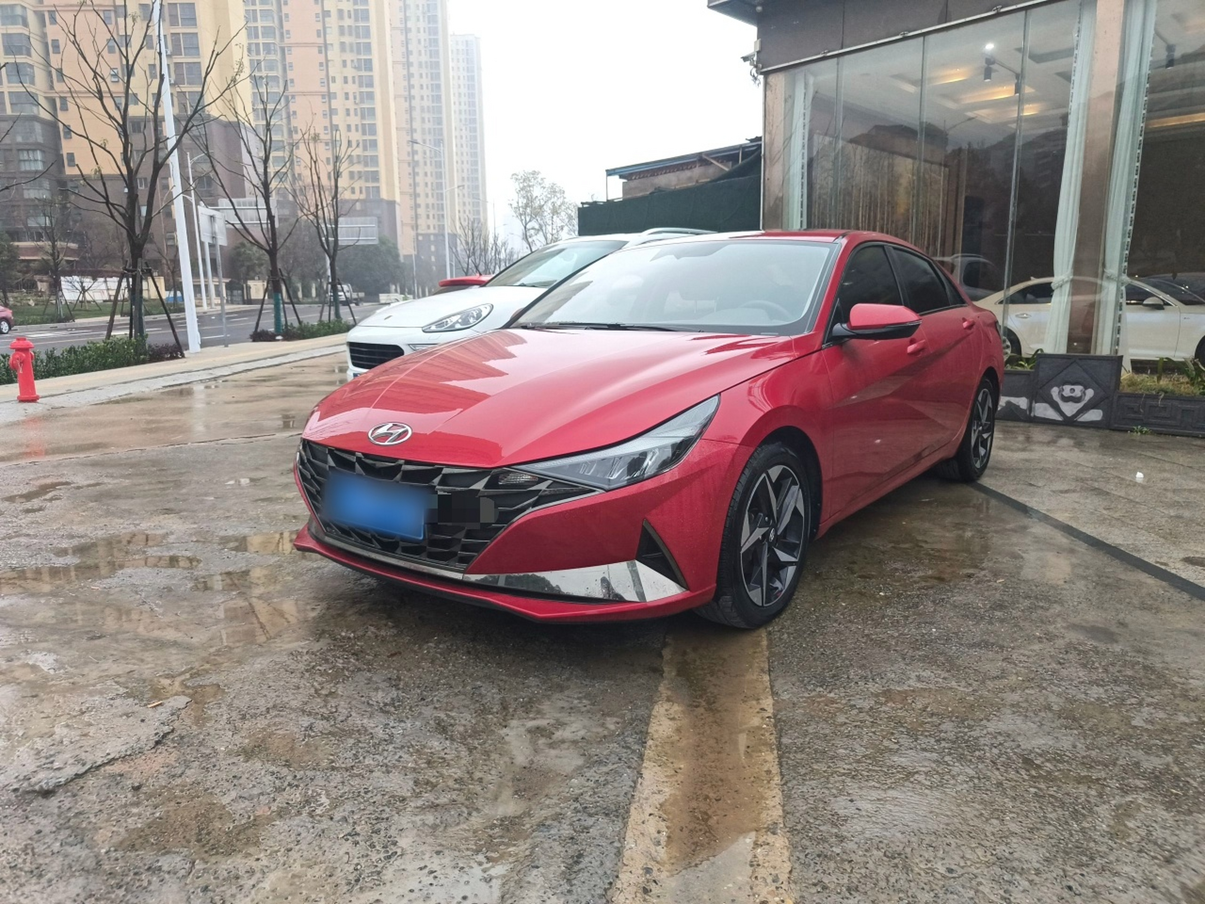 تحت مقدمة السيارة