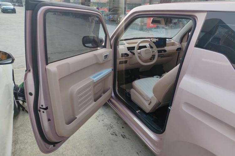 Used  Panda 2023 Panda Mini 200km Endurance Bear
