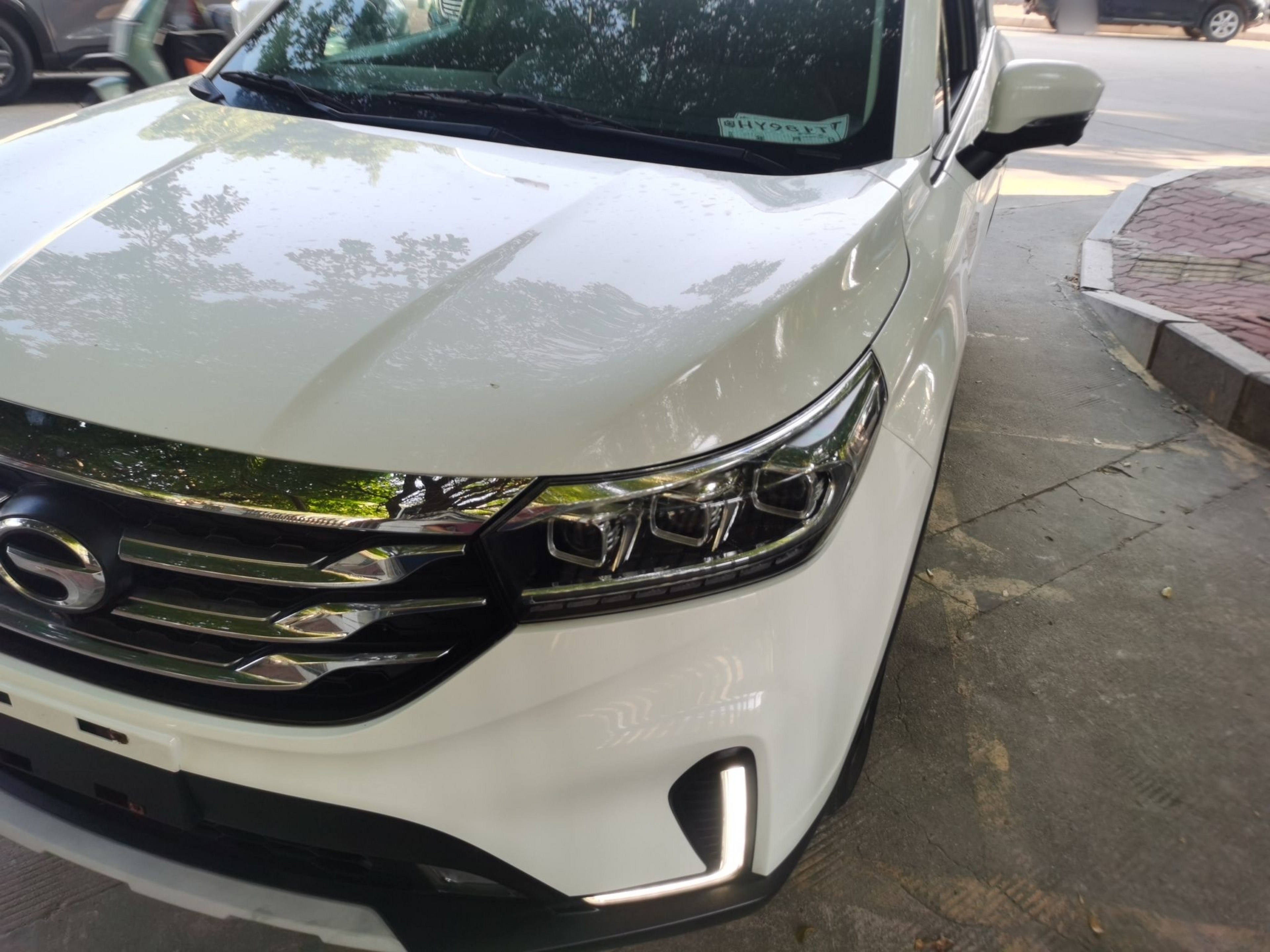 تحت مقدمة السيارة