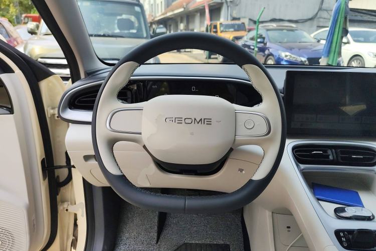 Used  Geome 2025 310km Youth Edition
