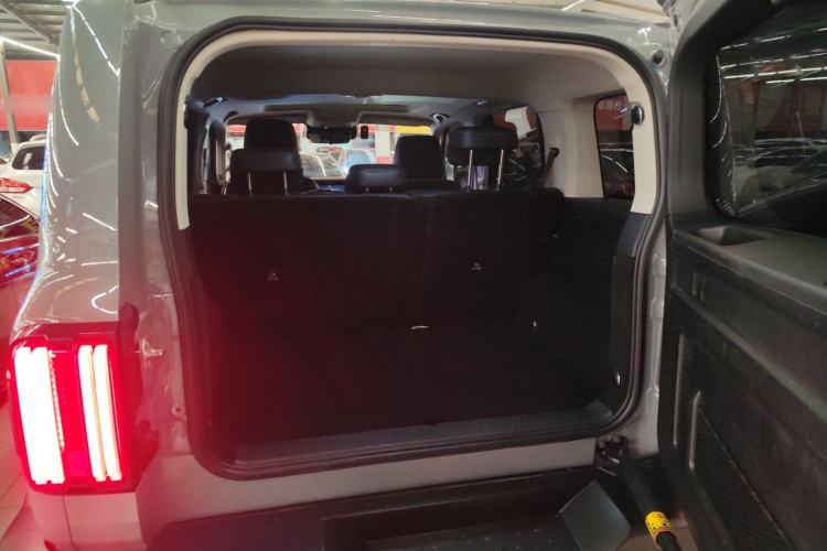 Used Tank 300 2024 2.0T Challenger
