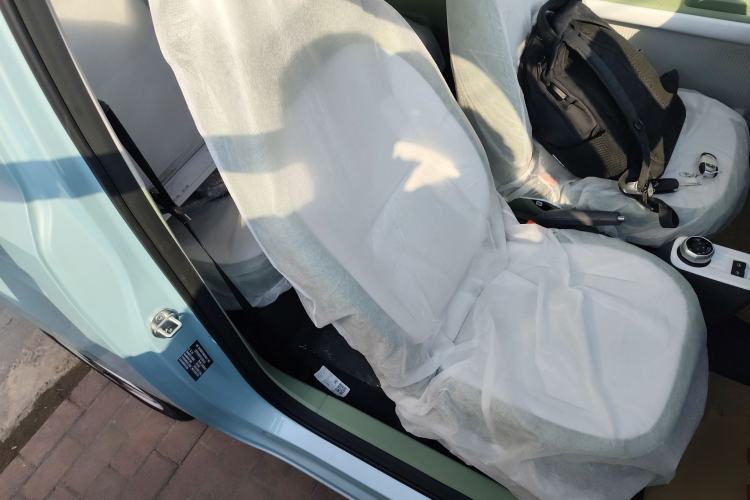 Used  Panda 2025 210 km – Yuanqi Bear