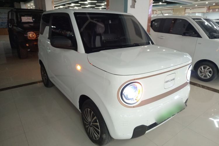 Used  Panda 2024 Panda Mini 200km Endurance Bear

