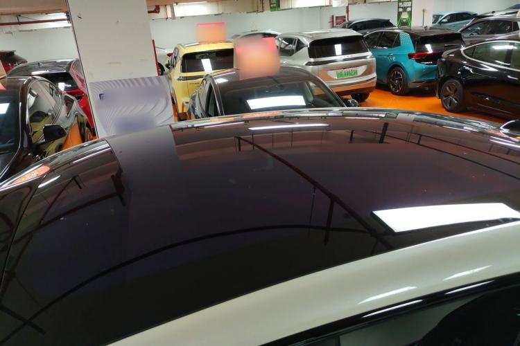 Used  LS6 2023 Max Standard Edition