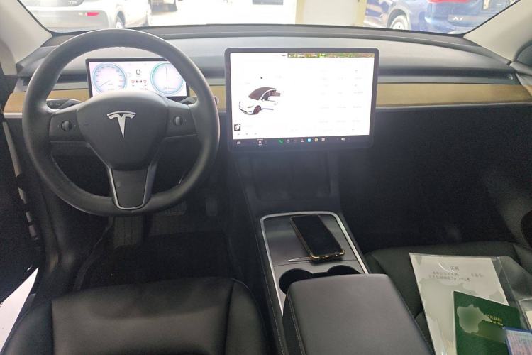 Used Tesla Model Y 2021 Standard Range Rear-Wheel Drive Version
