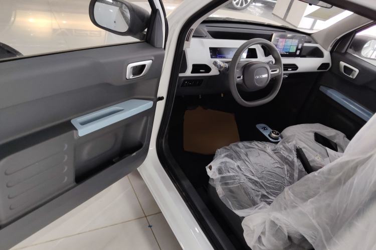 Used  Panda 2024 Panda Mini 200km Endurance Bear