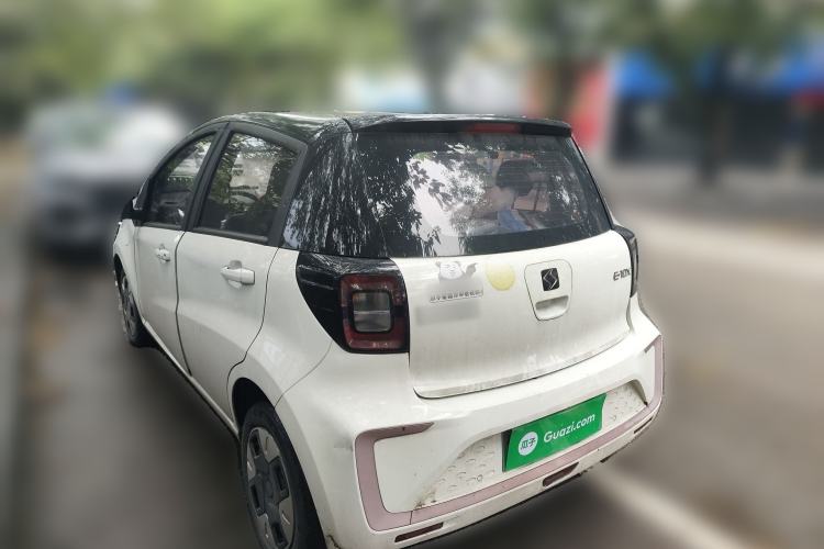 Used SOL E10X 2022 Flower Fairy Design Four-Leaf Clover
