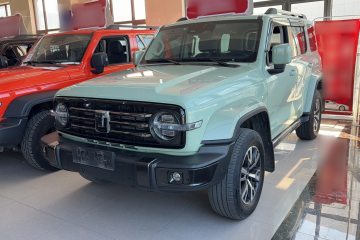 Used Tank 300 2021 City Edition 2.0T—Truly Stylish