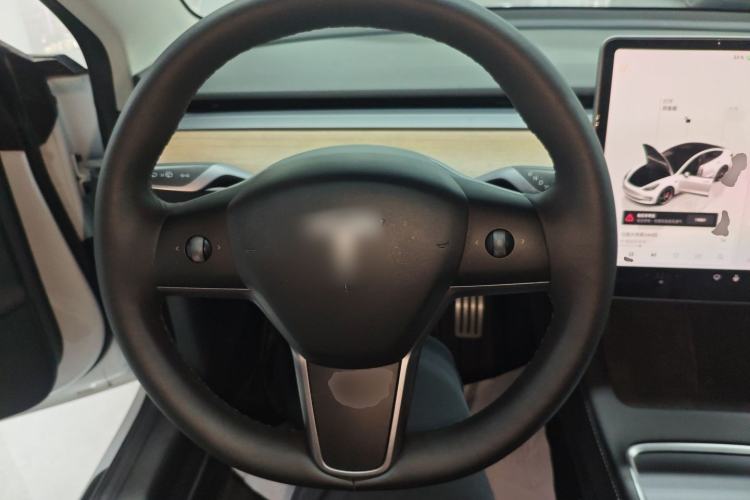 Used Tesla Model 3 2022 Performance High-Performance All-Wheel-Drive Version
