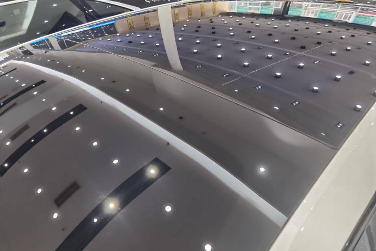 Used  12 2025 Max Extended-Range Edition
