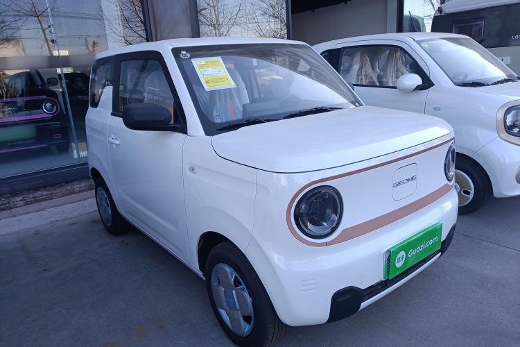 Used  Panda 2024 Panda Mini 200km Endurance Bear