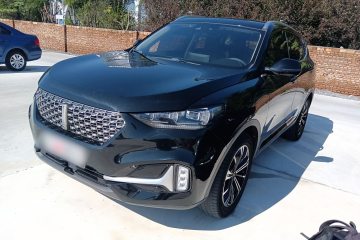 Used Wey VV6 2021 2.0T Two-Wheel Drive Smart Protection+