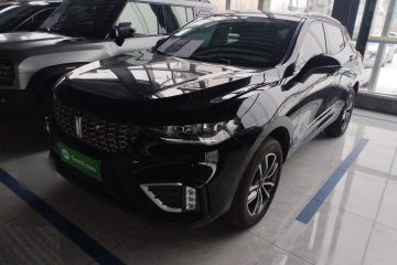 Used Wey VV5 2021 1.5T Two-Wheel Drive Smart Pioneer