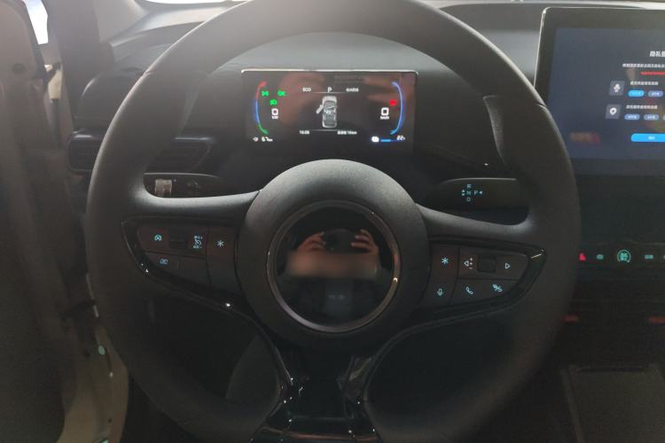 Used BYD Seagull 2025 Intelligent Driving Version 305 km Dynamic Edition
