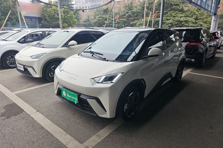 Used BYD Seagull 2025 305 km Free Version