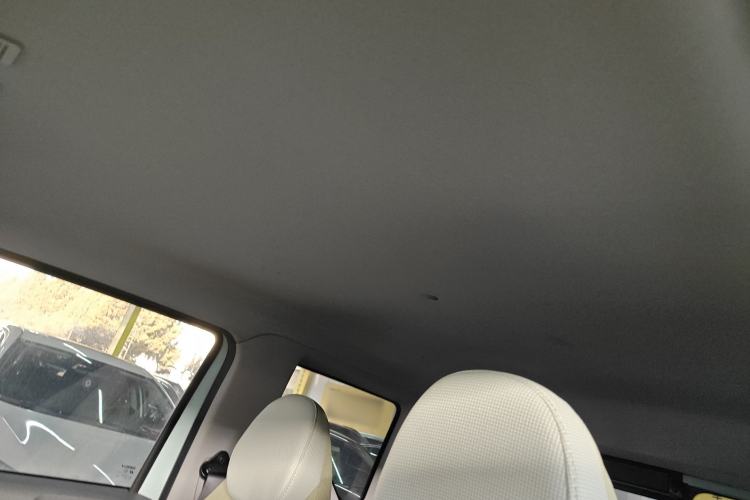 Used  Panda 2024 Panda Mini 200km Endurance Bear
