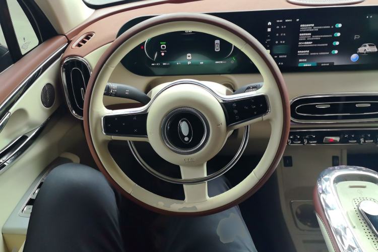 Used ORA Ballet Cat 2023 401 km Luxury Version
