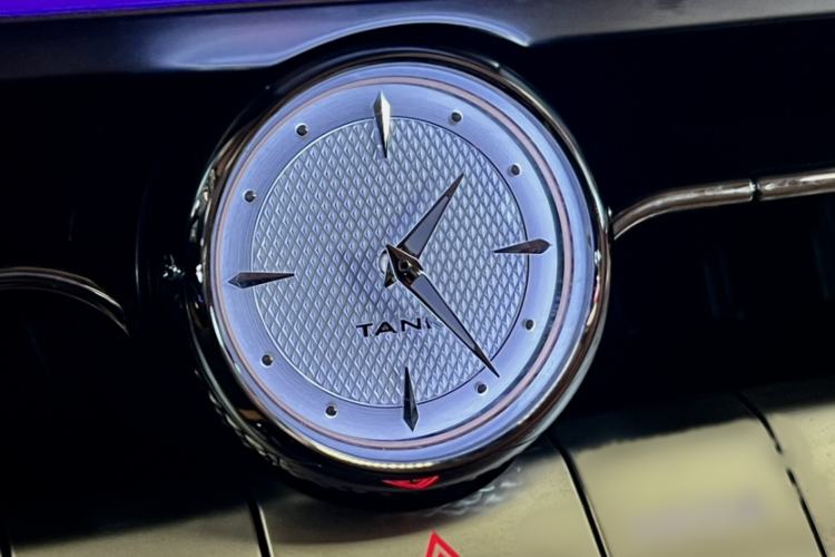 Used Tank 500 New Energy 2024 Hi4-T
