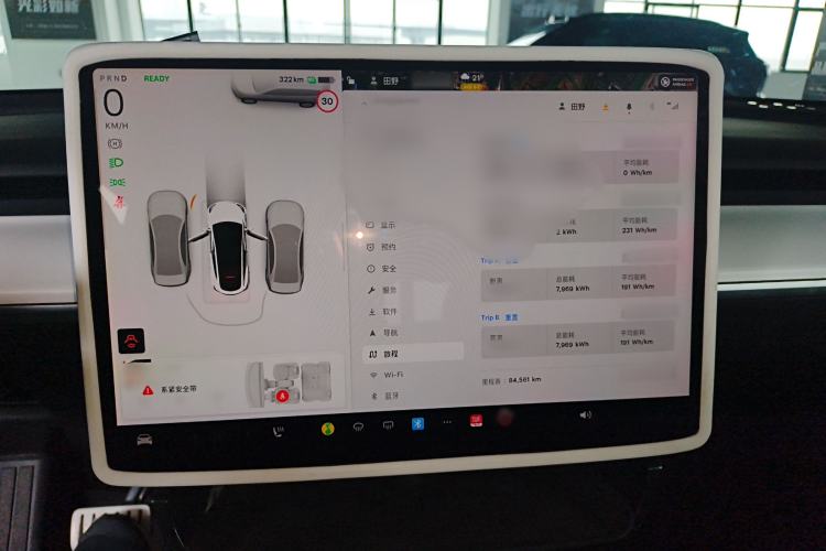 Used Tesla Model Y 2021 Performance High-Performance All-Wheel-Drive Version
