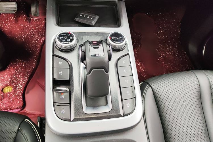 Used Tank 300 2021 City Edition 2.0T—Truly Stylish
