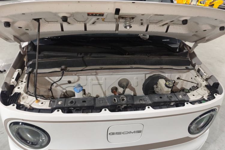 Used  Panda 2023 Panda Mini 200km Endurance Bear
