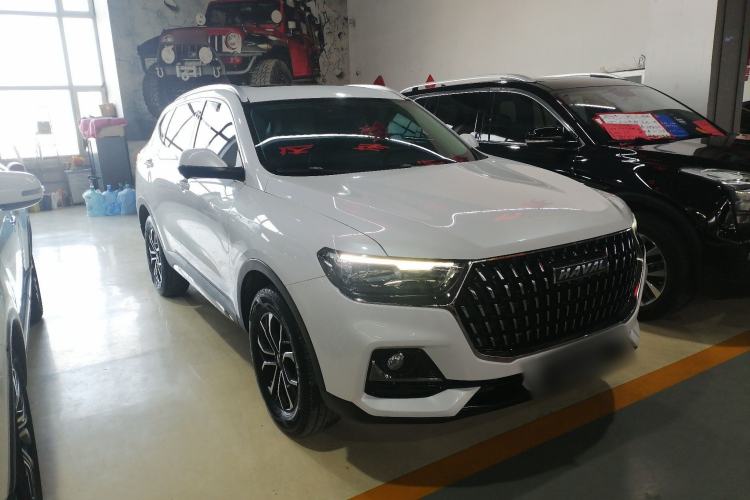 Used Haval H6 2023 National Trend Edition 1.5T Automatic Urban Version
