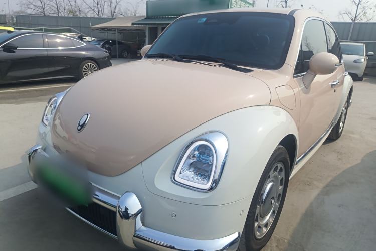 Used ORA Ballet Cat 2023 401 km Luxury Version