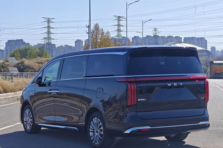 Used Wey Gaoshan 2023 Four-Wheel-Drive Executive Extended Version