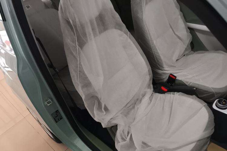 Used  Panda 2025 210 km – Yuanqi Bear